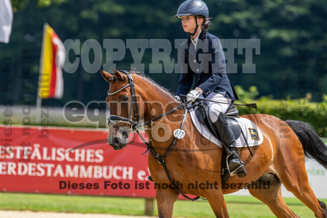 Goldene Schärpe 2021 - Ponys