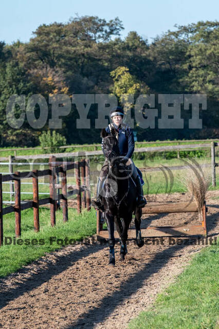 Vielseitigkeitslehrgang mit Jürg Kurbel (9.+10.11.2019)