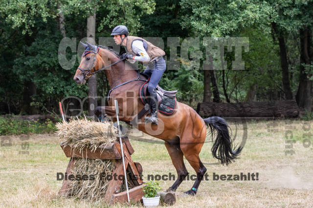 Late-Entry Vielseitigkeit Hamminkeln/Wesel (01.+02.08.2020)