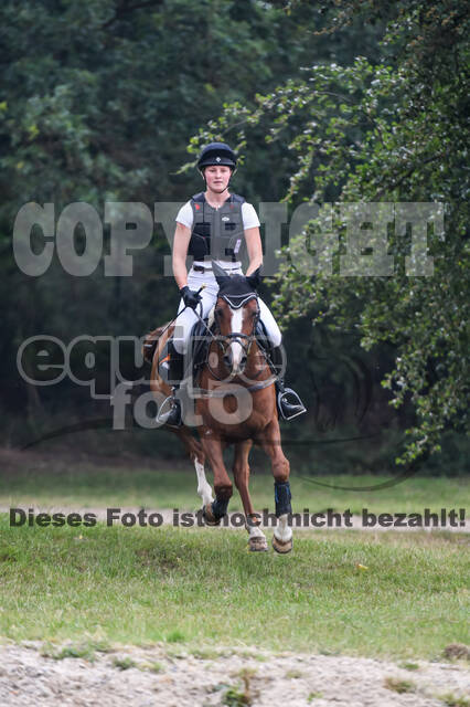 Late-Entry-Vielseitigkeit Langenfeld (11.+13./14.06.2020)