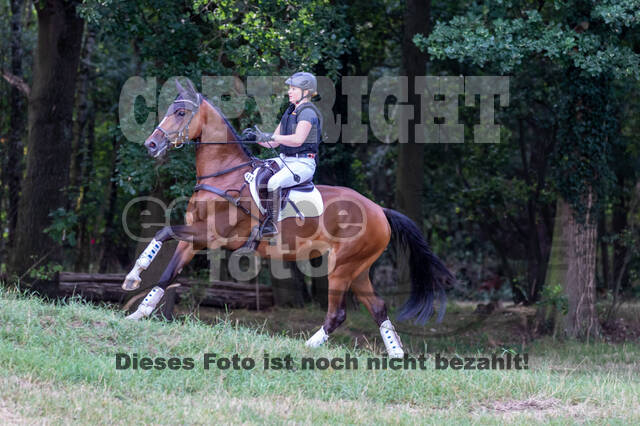 Late-Entry Vielseitigkeit Hamminkeln/Wesel (01.+02.08.2020)