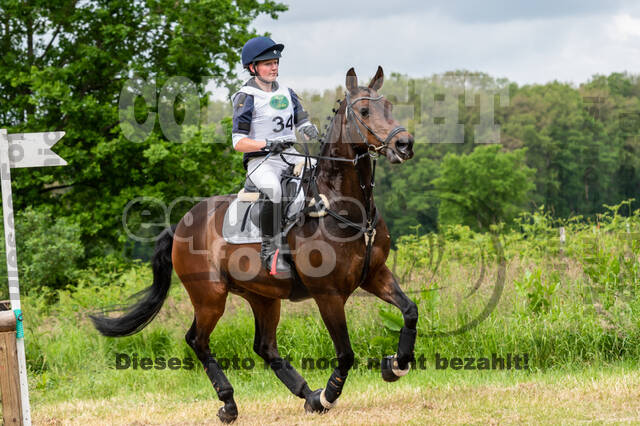 Westerstede Horse Trials 2021