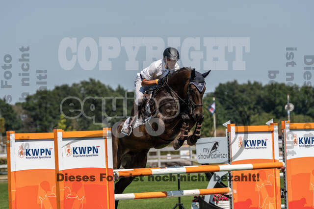 Kronenberg - De Peelbergen (August 2020)