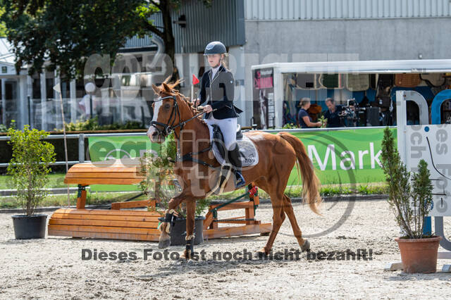 Landesturnier Rheinland, Vielseitigkeit, 22.+23.08.2020