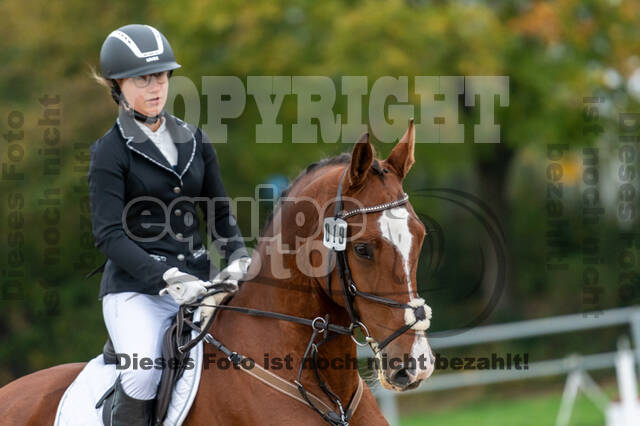 Goldene Schärpe 2020 - Pferde