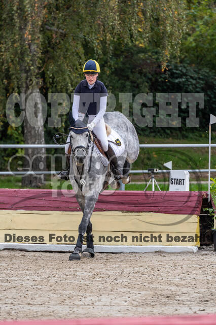 Goldene Schärpe 2020 - Pferde