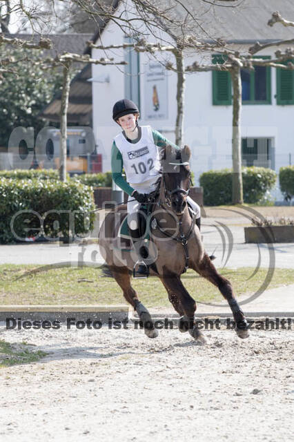 Eventing Langenfeld 2018