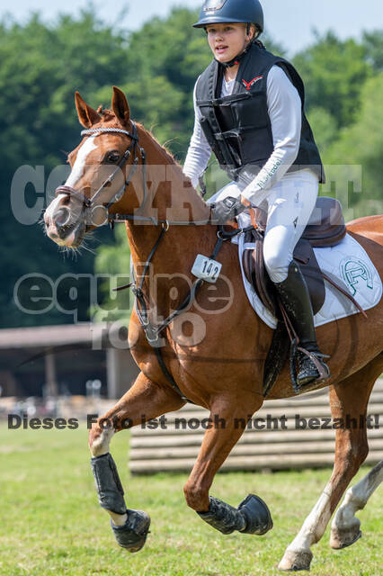 Goldene Schärpe 2021 - Ponys