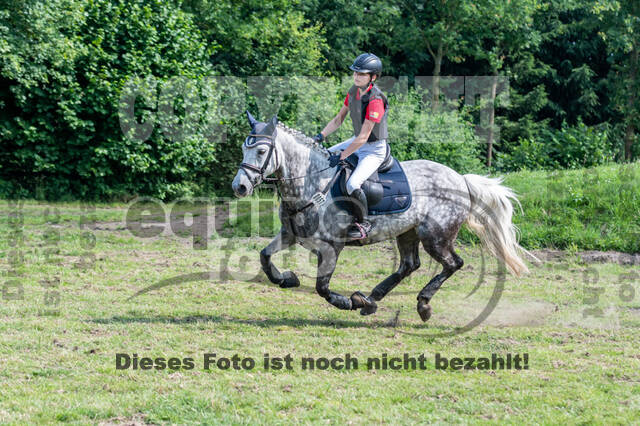 Goldene Schärpe 2021 - Ponys
