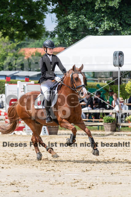 Goldene Schärpe 2021 - Ponys