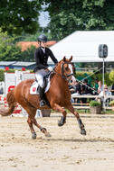 Goldene Schärpe 2021 - Ponys