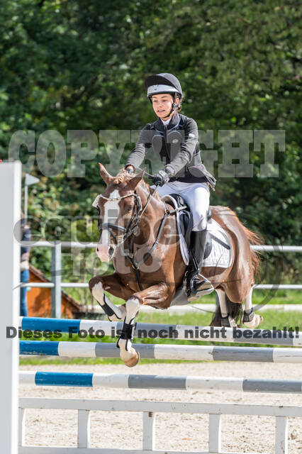 Late-Entry-Vielseitigkeit Langenfeld (06.+07.07.2020)