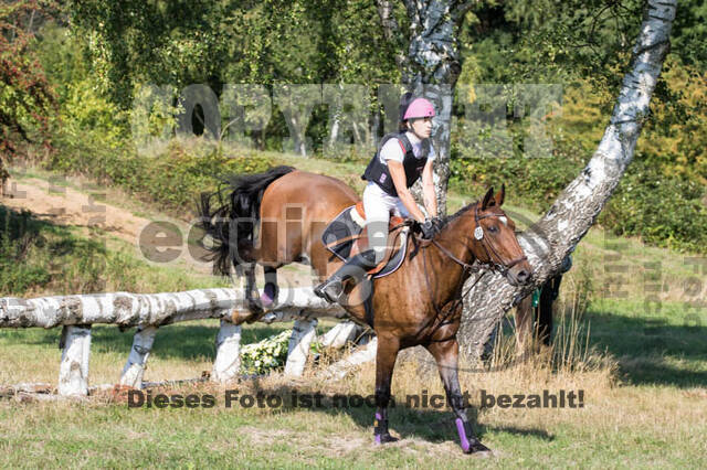 Vielseitigkeitsturnier RSV St. Hubertus Wesel Obrighoven