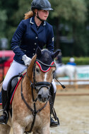 Goldene Schärpe 2021 - Ponys