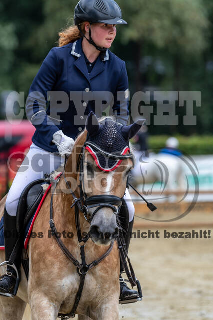 Goldene Schärpe 2021 - Ponys