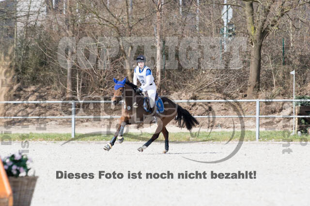 Eventing Langenfeld