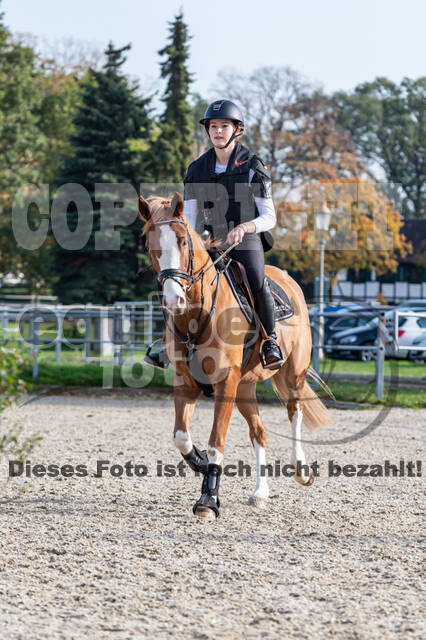 IGV Lehrgang der Sieger der Cups mit Frank Ostholt