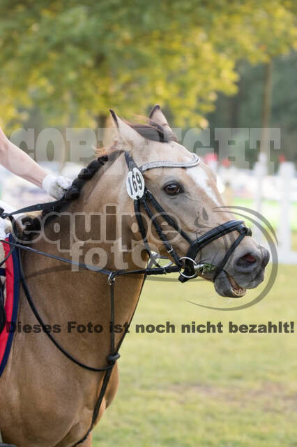 IGV Kleve