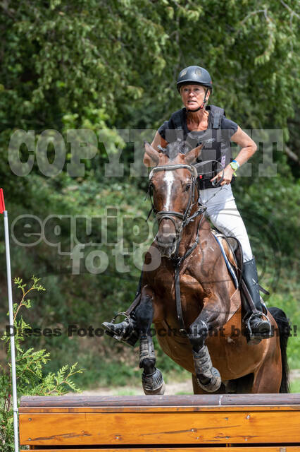 Late-Entry-Vielseitigkeit Langenfeld (06.+07.07.2020)