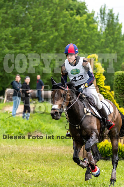 Westerstede Horse Trials 2021