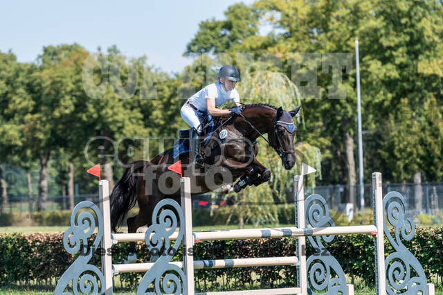 Kronenberg - De Peelbergen (August 2020)