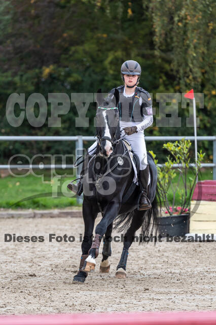 Goldene Schärpe 2020 - Pferde