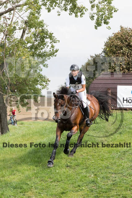 FEI European Championship Eventing 2017