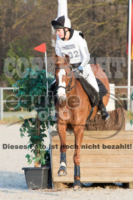 Eventing Langenfeld 2018