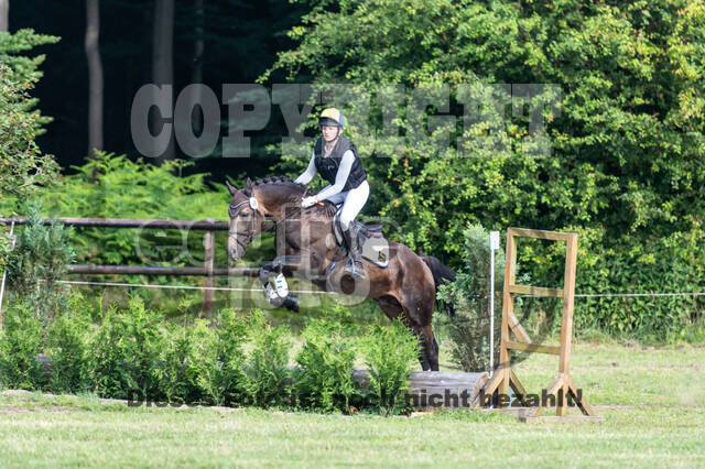 Goldene Schärpe 2021 - Ponys