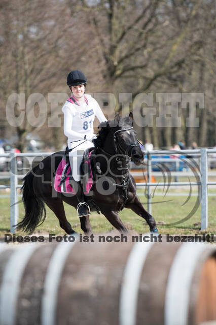 Eventing Langenfeld 2018