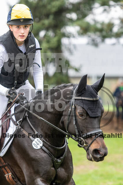 Goldene Schärpe 2020 - Pferde