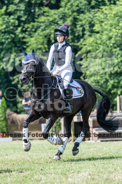 Goldene Schärpe 2021 - Ponys