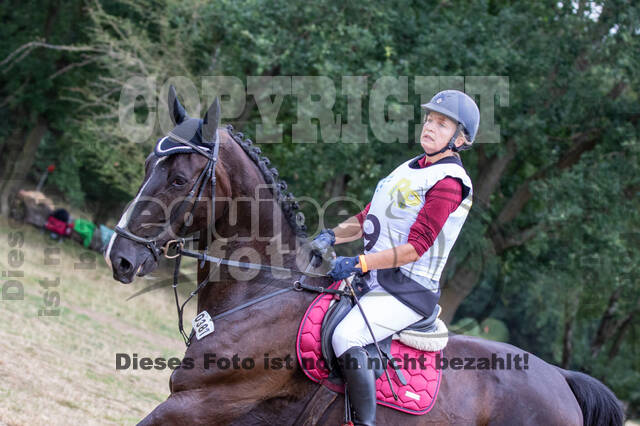 Late-Entry Vielseitigkeit Hamminkeln/Wesel (01.+02.08.2020)