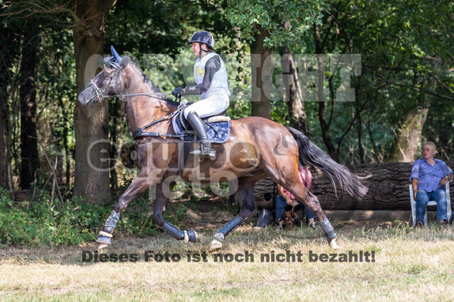 Late-Entry Vielseitigkeit Hamminkeln/Wesel (01.+02.08.2020)