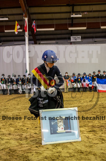 Goldene Schärpe 2021 - Ponys