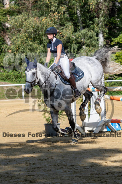 RFV Dinslaken-Hiesfeld (Herbstturnier)