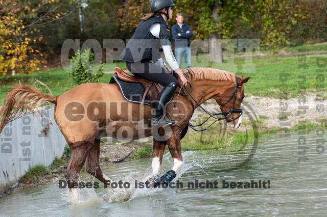 IGV Lehrgang der Sieger der Cups mit Frank Ostholt