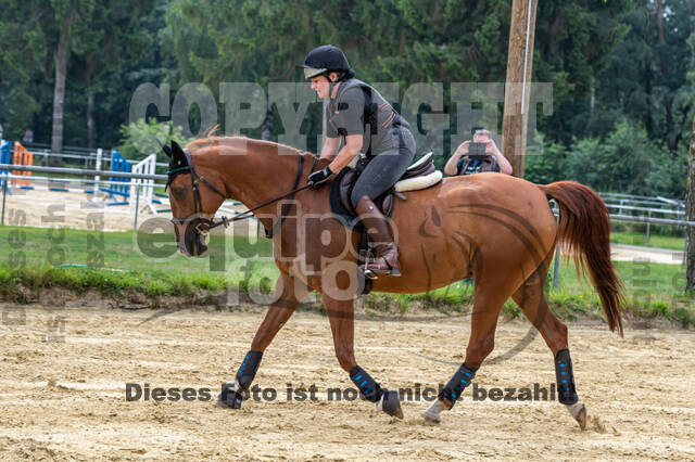 Hunter Geländetraining 10.07.2021 (Sonsbeck)