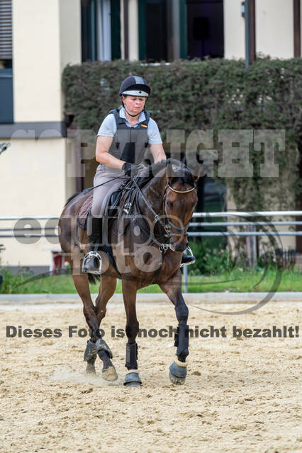 Hunter Geländetraining 10.07.2021 (Sonsbeck)