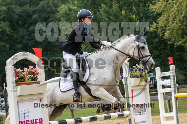 Vielseitigkeit RSV Wesel Obrighoven (26.+27.09.2020)