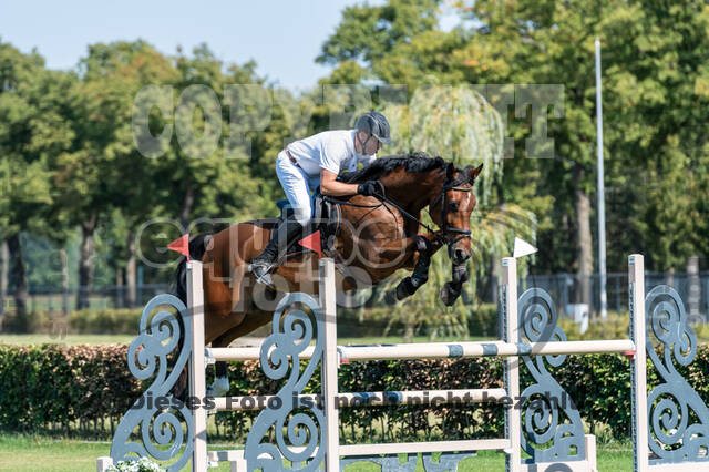 Kronenberg - De Peelbergen (August 2020)