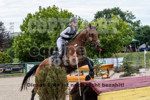 Late-Entry-Vielseitigkeit Langenfeld (11.+13./14.06.2020)