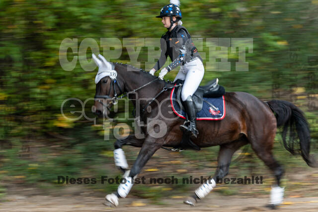 Goldene Schärpe 2020 - Pferde