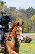 Geländetraining ZRFV Hamminkeln (24+25.04.2021)