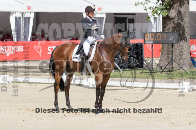 FEI European Championship Eventing 2017