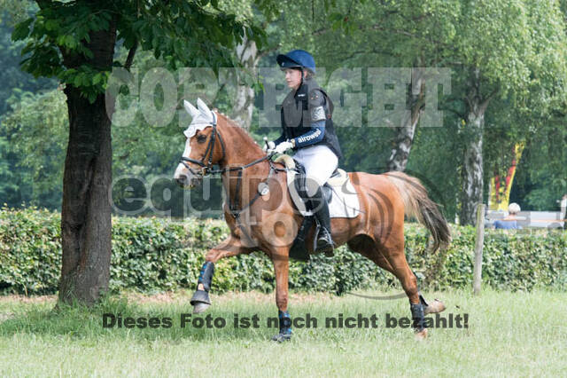 RFV Bad Honnef