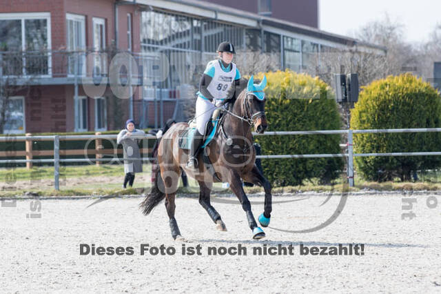 Eventing Langenfeld 2018