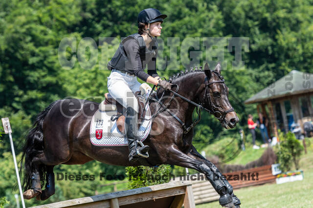 Goldene Schärpe 2021 - Ponys