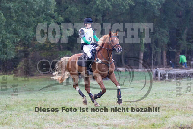 Vielseitigkeitsturnier RSV St. Hubertus Wesel Obrighoven