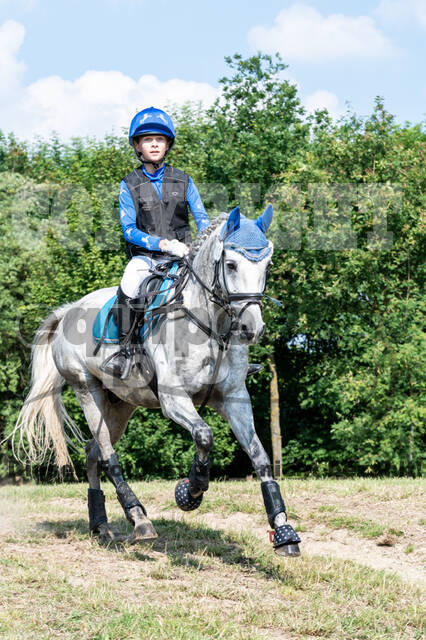 Goldene Schärpe 2021 - Ponys